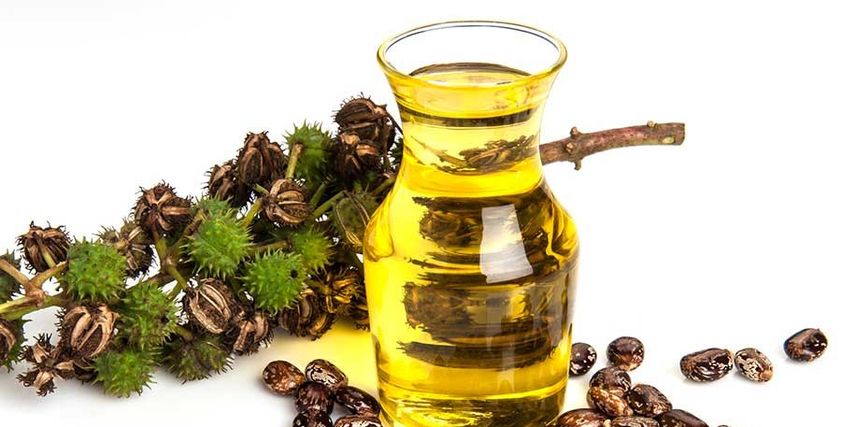 زيت الخروع