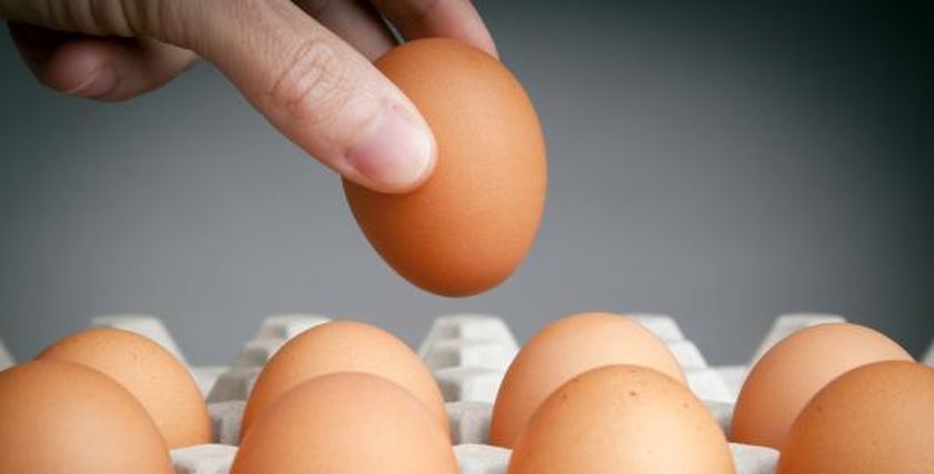 بيض