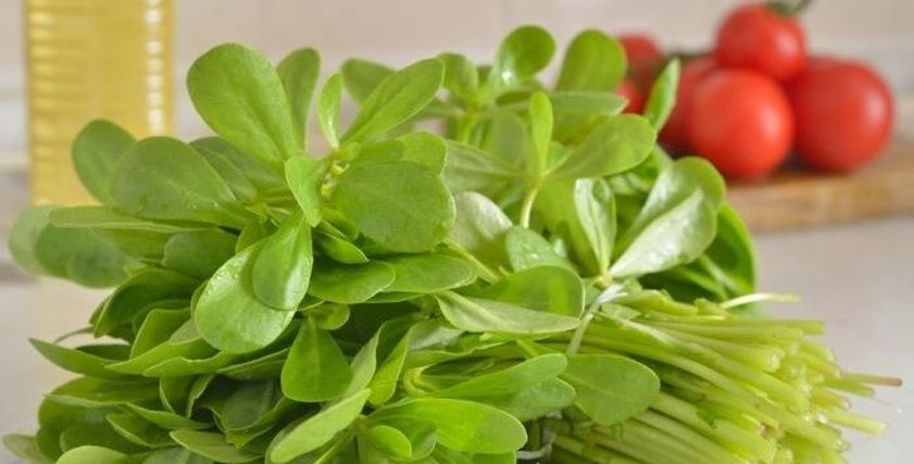 نبتة الرجلة