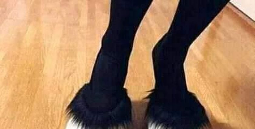 موضة جديدة حذاء رجل الماعز..تعرف على سعره