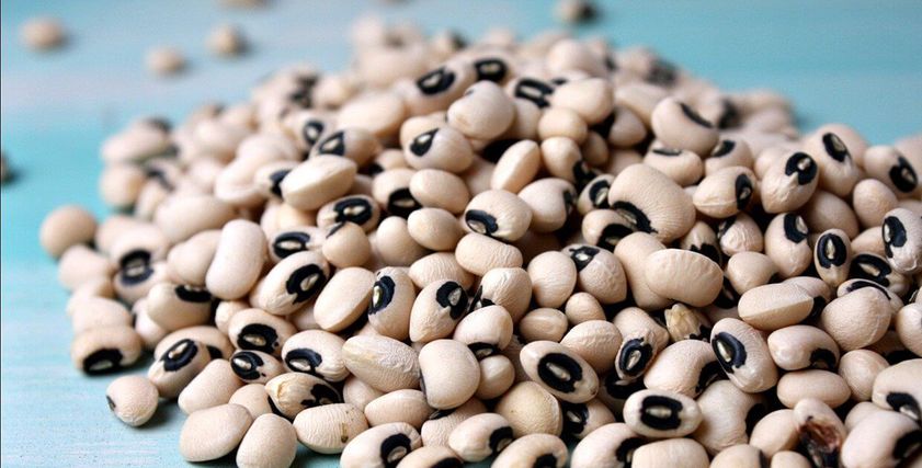 لوبيا