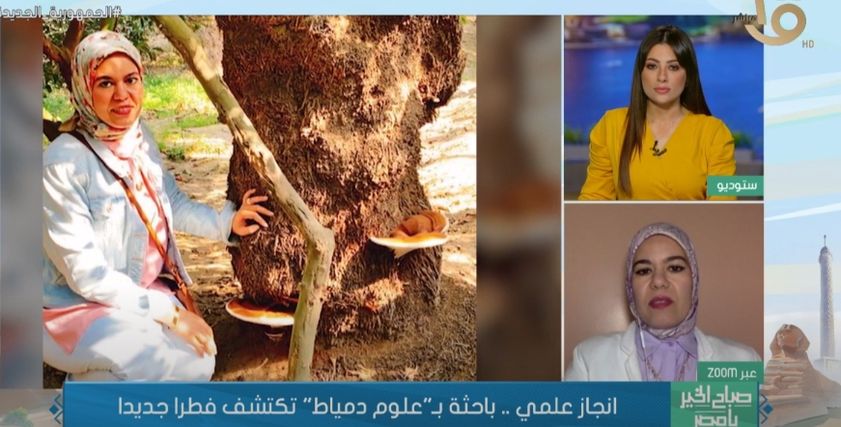 الدكتورة هدى الغرباوي مدرس الميكروبيولوجي بقسم النبات والميكروبيولجي بكلية العلوم في جامعة دمياط