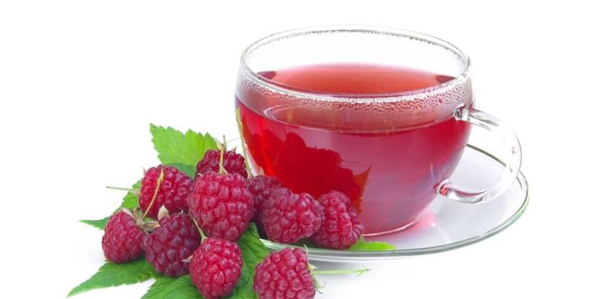 فوائد شاي التوت البري
