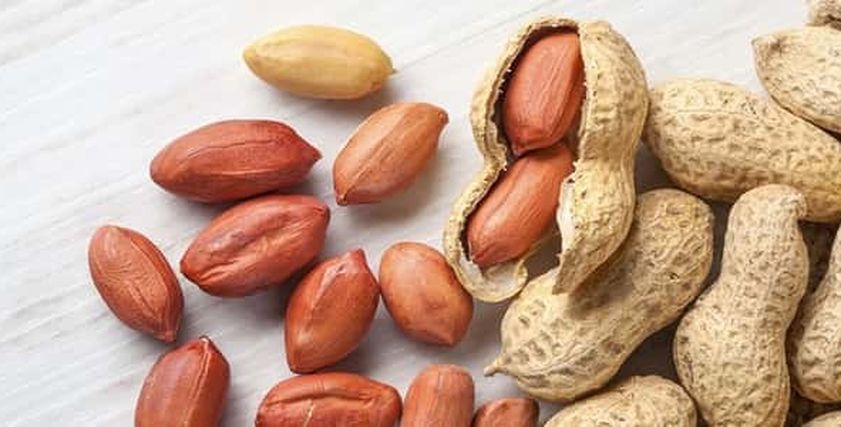 تناول السوداني يحمى الذاكرة