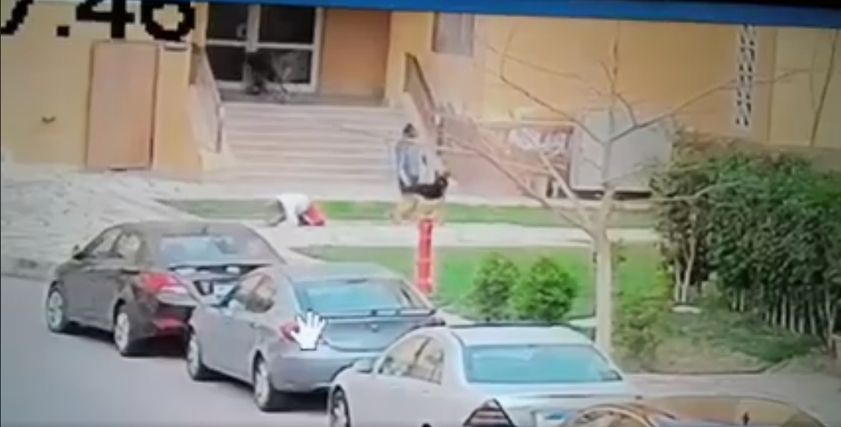 بالصور| خالة « طفل مدينتي» تروي تفاصيل واقعة مهاجمته من كلبي حراسة «شديدي الشراسة»