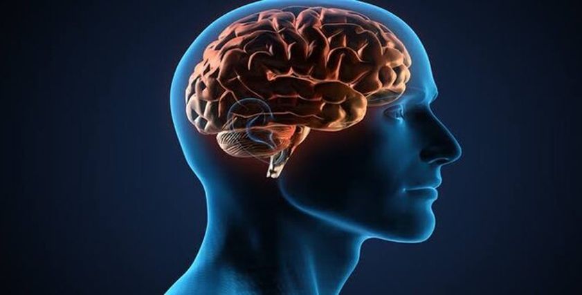 نصائح للحفاظ على صحة الدماغ