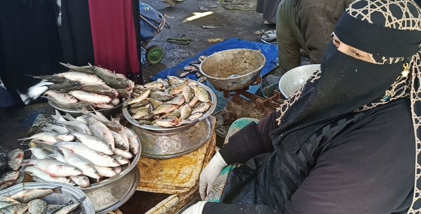 "أم حازم" ربت 9 أبناء من بيع السمك: بحلم ببيت ومصدر دخل لأولادي