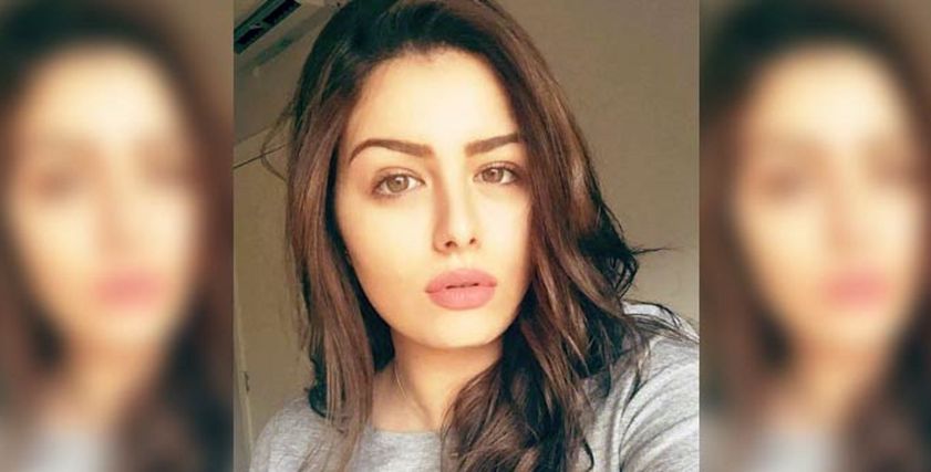 الفنانة هنادي مهنا