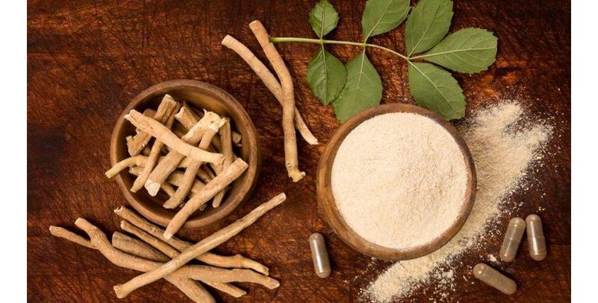 عشبة الأشواجندا الهندية