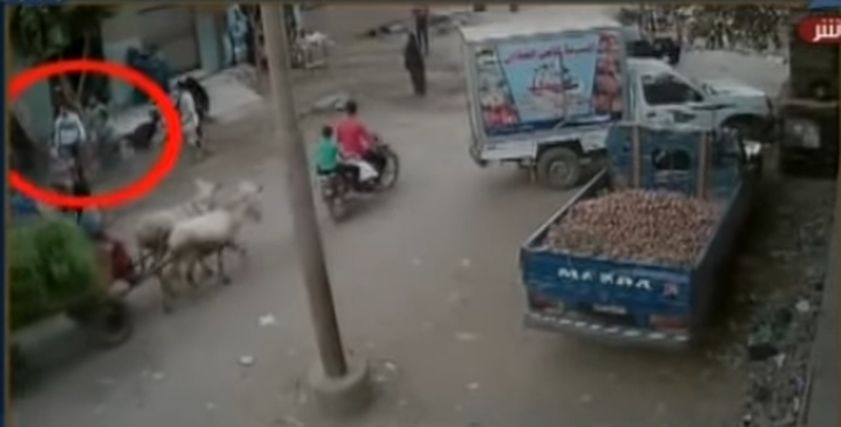 بالفيديو| شاب يسحل فتاتين ويعتدى عليهم بالضرب بمساعدة مجموعة من السيدات