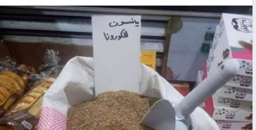 يانسون 
