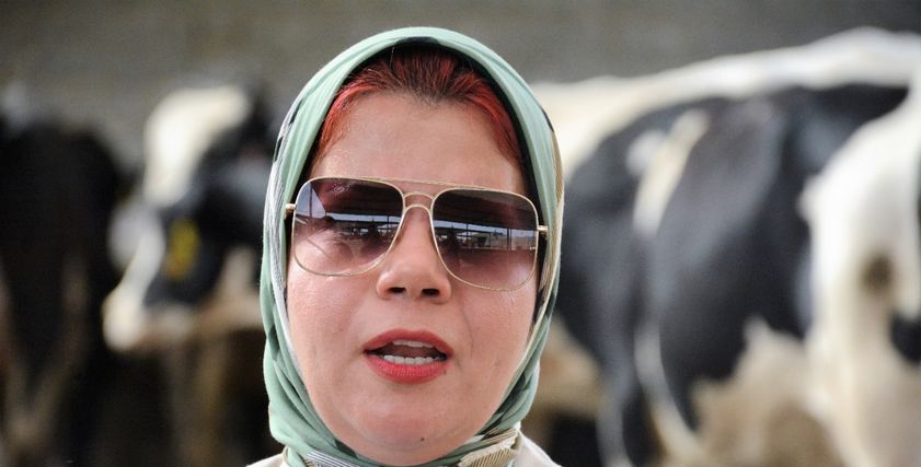 شيماء أبو يوسف تؤسس مزرعة لتسمين العجول