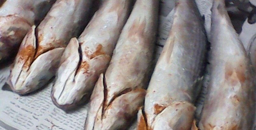نصائح قبل شرراء الفسيخ