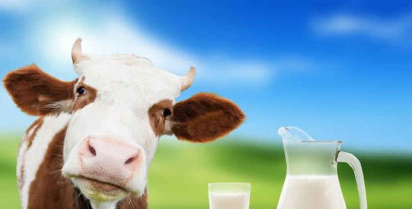 خطوات الحماية من حساسية الالبان