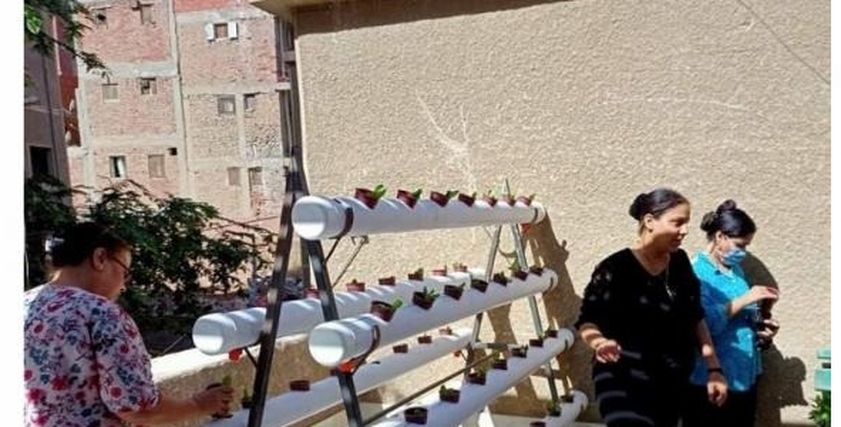 مبادرة زراعة الأسطح