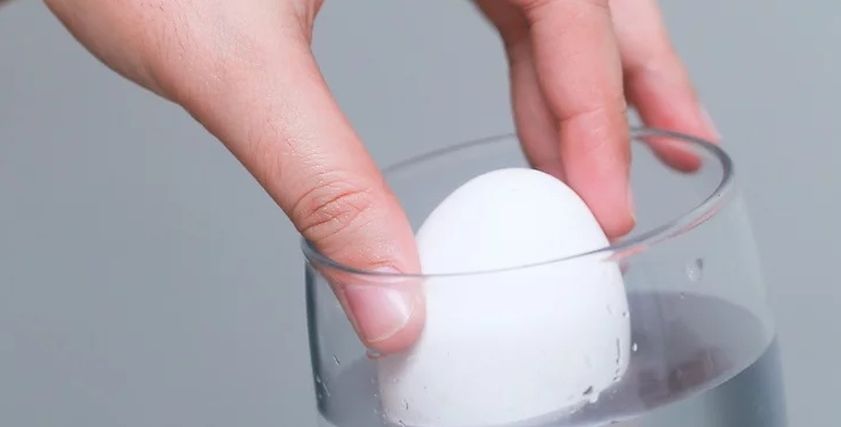 اختبار البيضة الطازجة