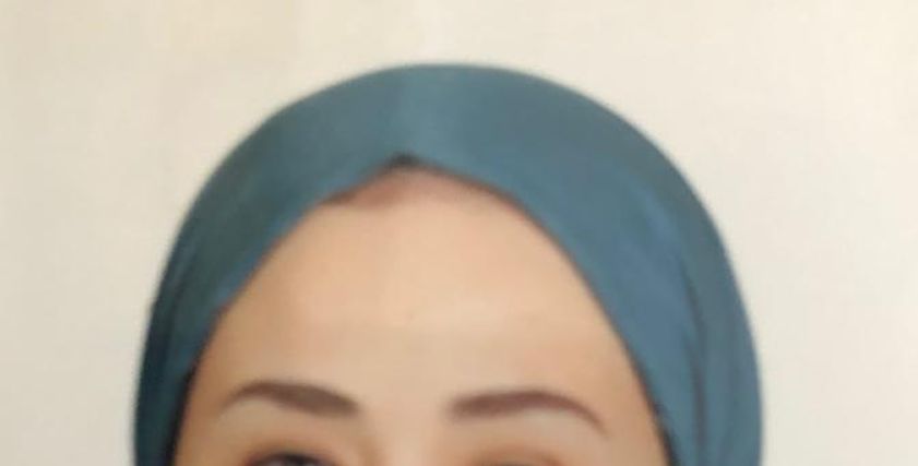 المستشارة عبير طنطاوي