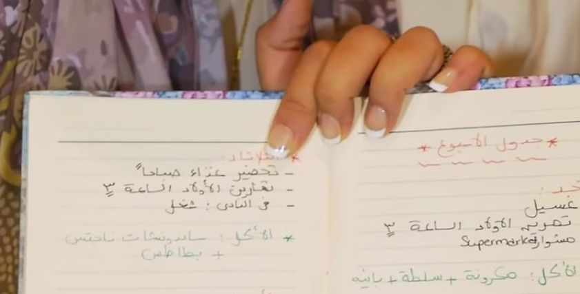 البلوجر دينا الشوربجي