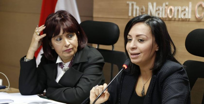 الدكتور مايا مرسي رئيس المجلس القومي للمرأة