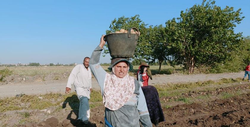 السيدة أم عبدالرحمن