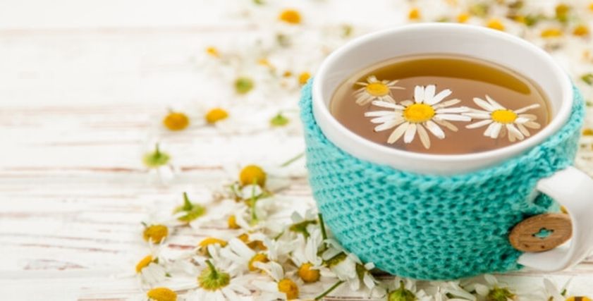 عشبة تساعد على علاج الأمراض