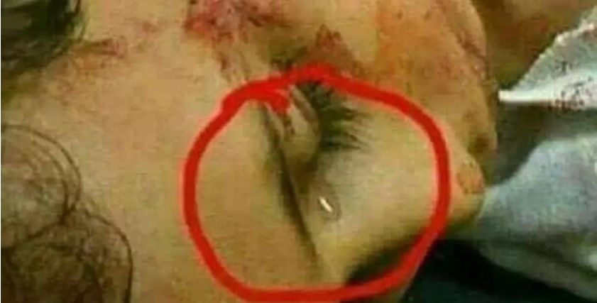 الصورة المتداولة