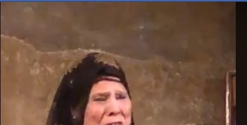 رضا شيحة