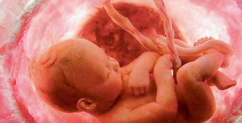 جنين في المرحاض.. واقعة غريبة في رحلة طيران بجنوب إفريقيا