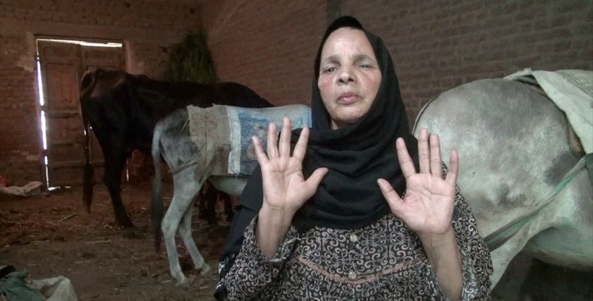 الست نوال راعية المواشي