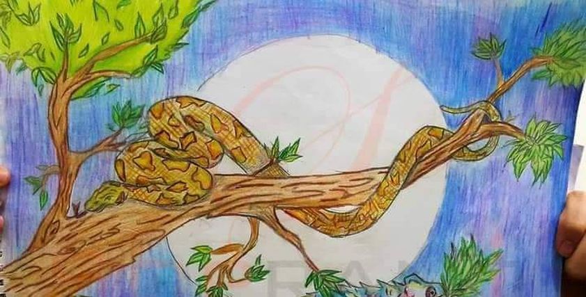 رسومات التوأم