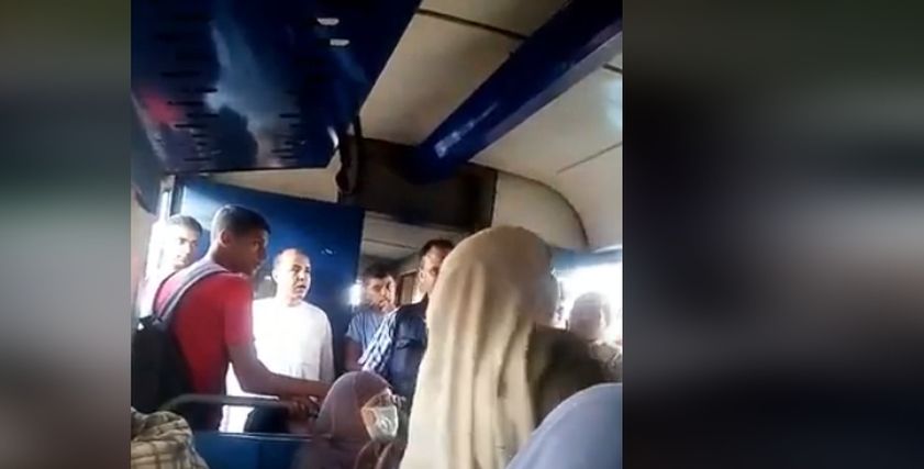 سيدة القطار