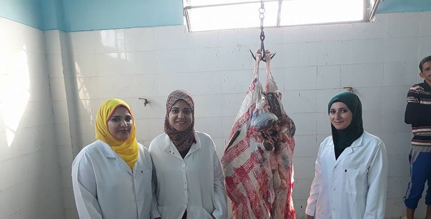 الطبيبات الثلاثة اصحاب مشروع الجزارة