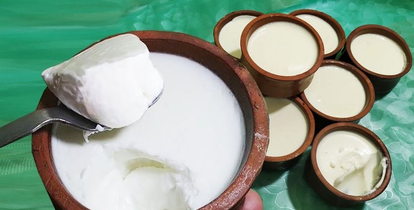 طريقة عمل الزبادي البيتي