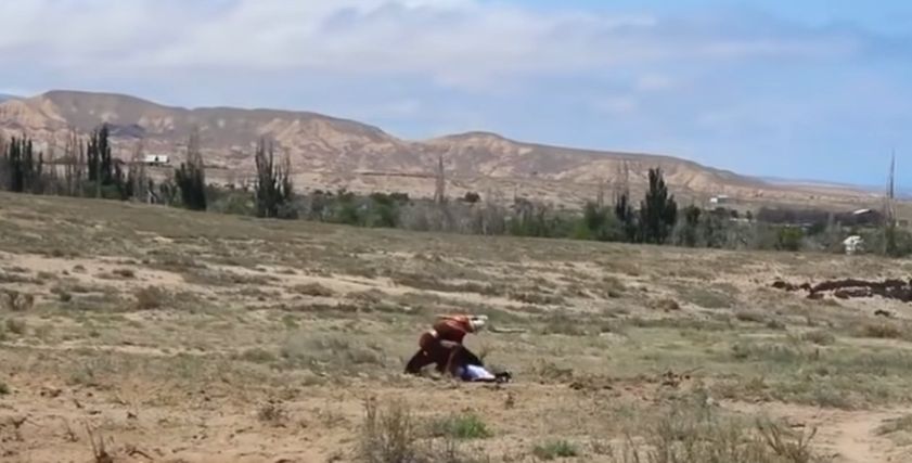 جانب من الفيديو