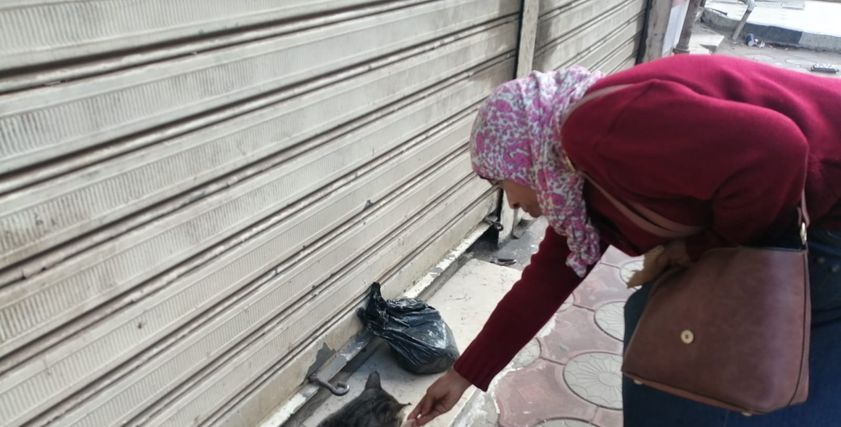 سمية حمد