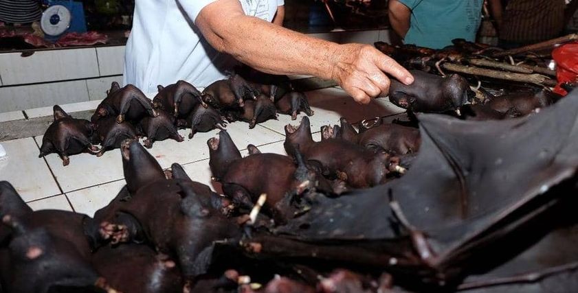  فيروس الإيبولا المنتشر في أوغندا.. تعبيرية