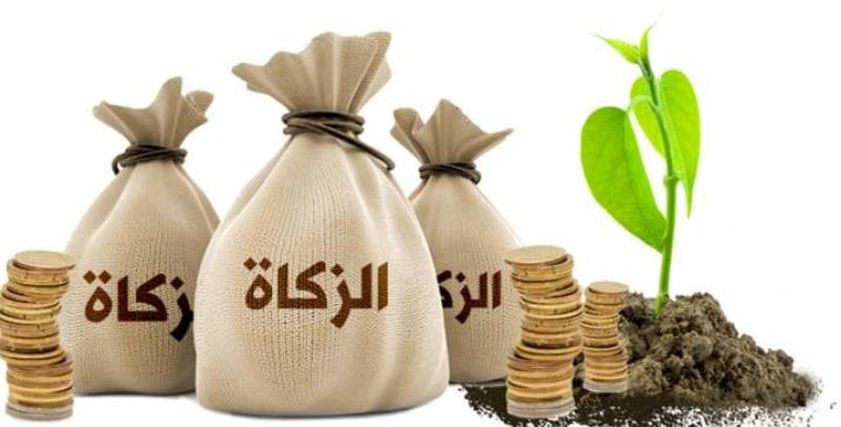 زكاة المال - تعبيرية
