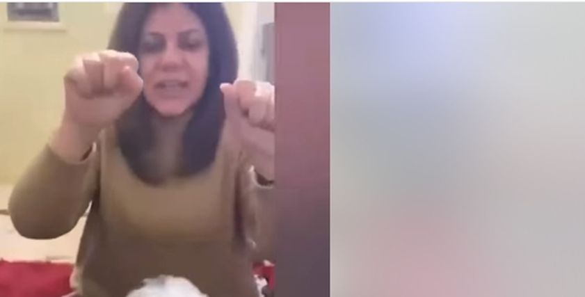 كلب شيرين أبو عاقلة
