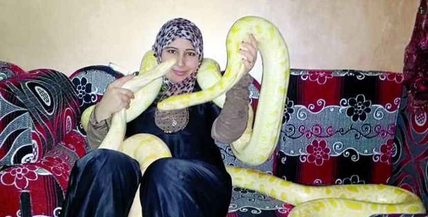 أم راشد