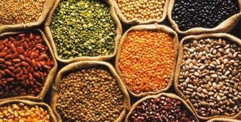 البروتينات النباتية