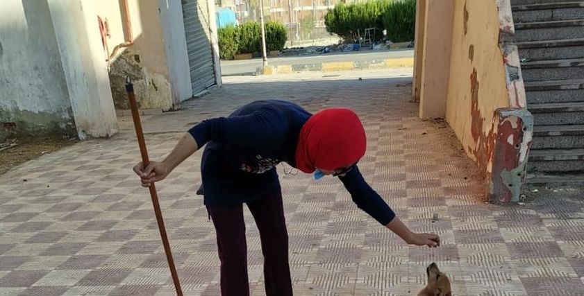 لي لي ترعى الكلاب