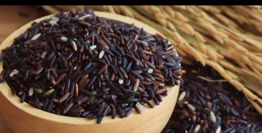 الأرز الأسود