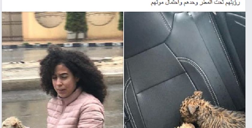 الصورة المتداولة لفتاة أنقذت 3 كلاب صغيرة