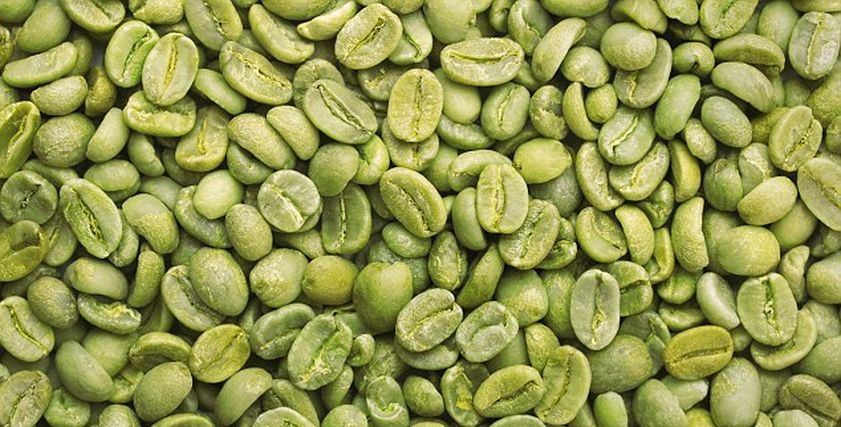 البن الأخضر