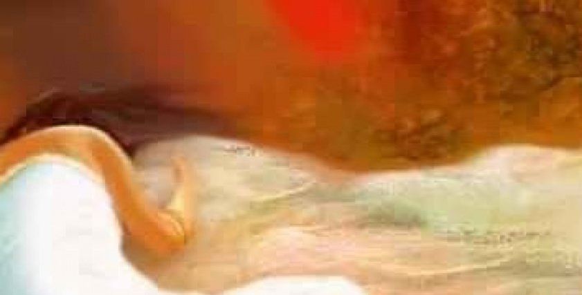 تعرف على حكم الدين في فض غشاء البكارة بالإصبع