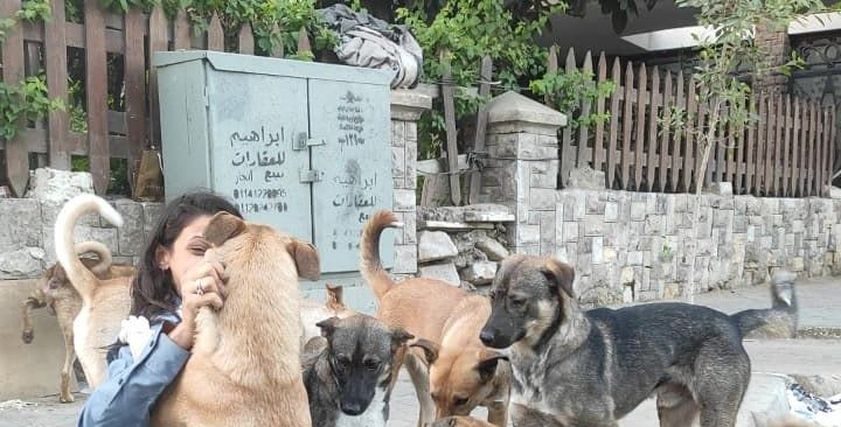 آن مراد والكلاب