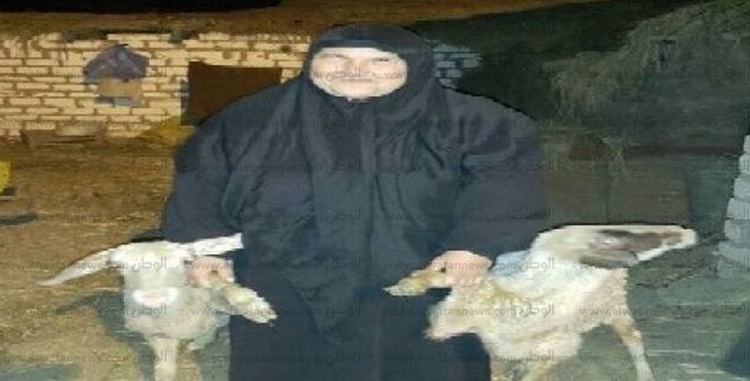 «مستورة».. قرض الستر لستات مصر