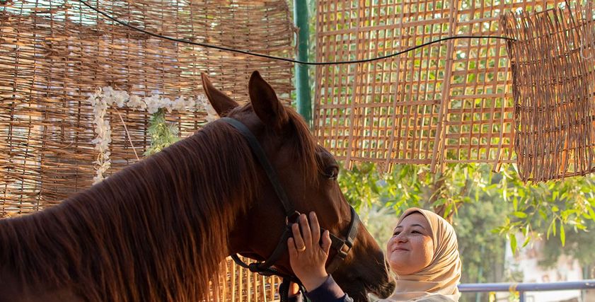 هدير والفرسة «توايليت»