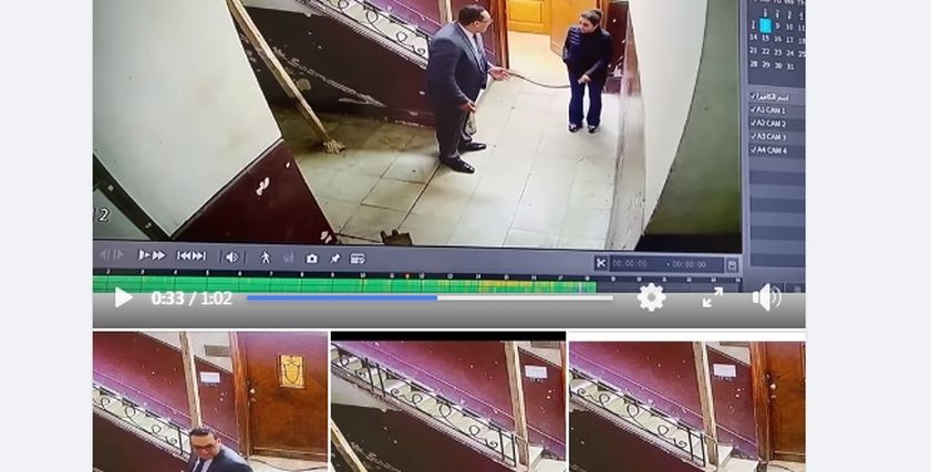متحرش المعادي