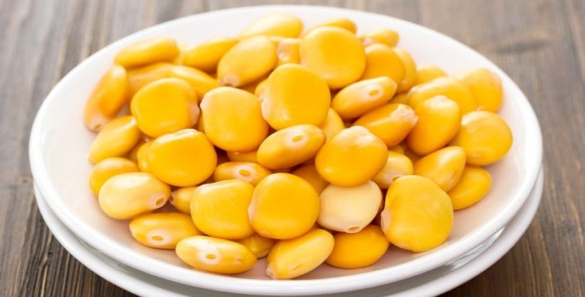 الترمس 
